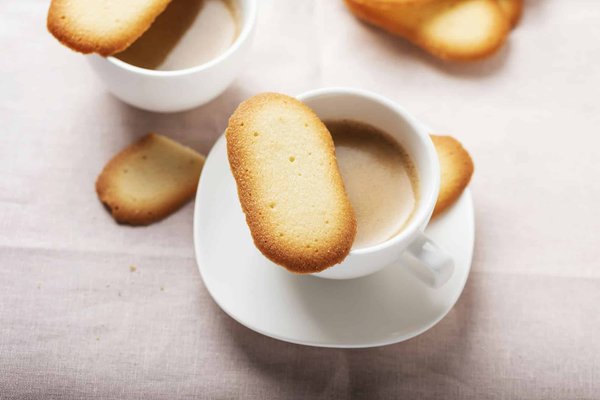 Quali sono i metodi migliori per insegnare a un gatto di razza Pixiebob a giocare in modo sicuro senza graffiare?