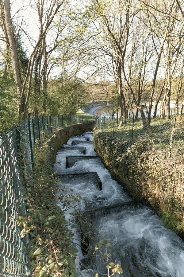 Qual è il metodo più accurato per tracciare le migrazioni degli uccelli rari in zone umide protette?